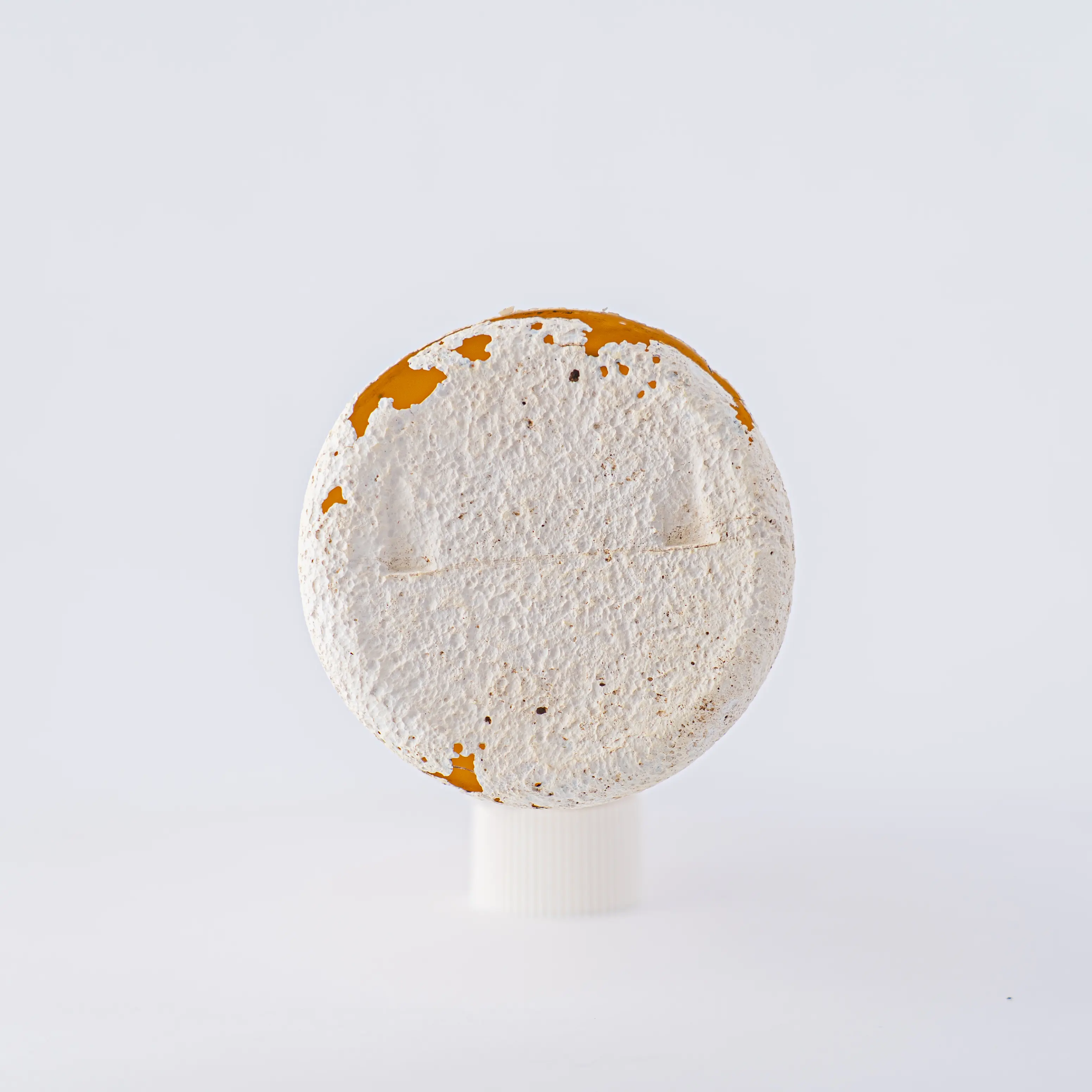 100ml — lifestyle 4