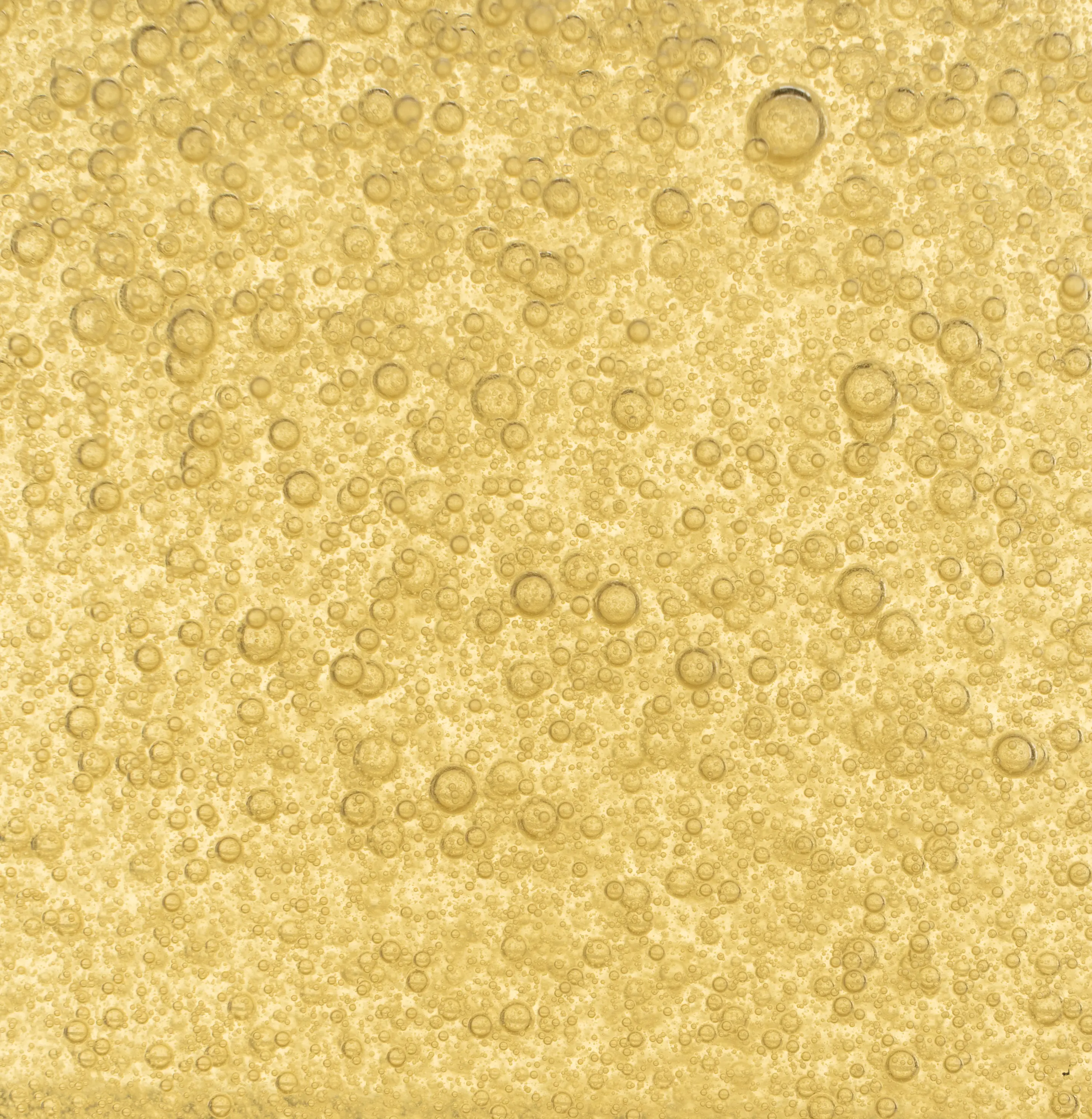 Plant based enzy bubbles in suspended animation